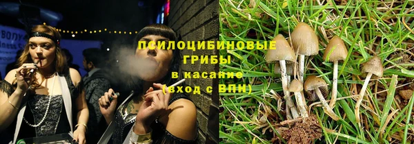 соль курить ск Горно-Алтайск