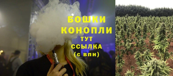 альфа пвп Гусь-Хрустальный