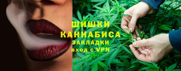 ПСИЛОЦИБИНОВЫЕ ГРИБЫ Дмитриев