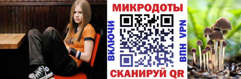 наркотики mega ссылки Псилоцибиновые грибы мухоморы Зубцов